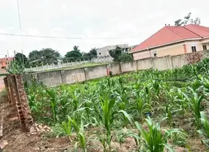 Naalya 100x50 Plot for Sale