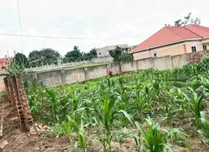 Naalya 100x50 Plot for Sale