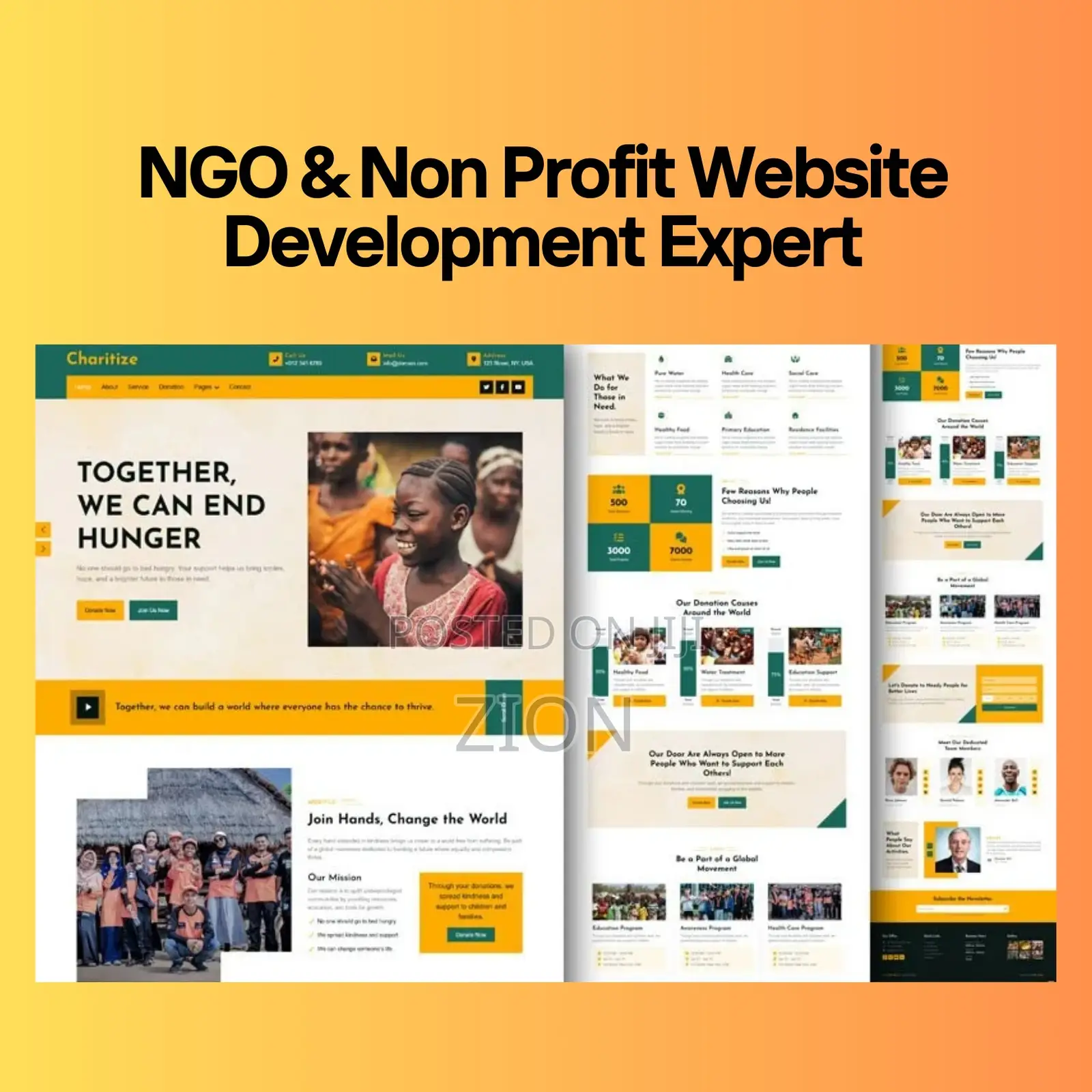 Ngo Non Profit Website Development Expert