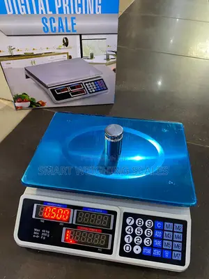 Blue Digital Weighing Scale 40kg Weigh Tabletop Digital Weighing Scale