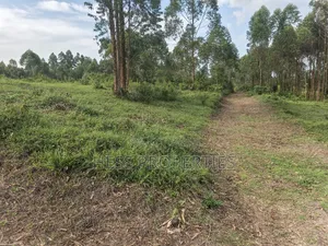 Titled Plots on Sale Located PMK-Kiko Estate Fort Portal City