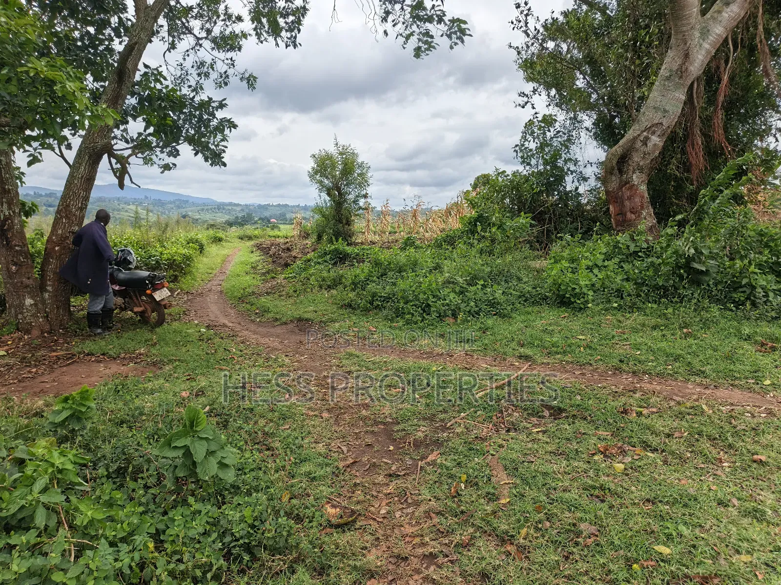 Agricultural Land on Sale Located in Kyarusozi-Kyenjojo District