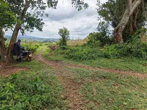 Agricultural Land on Sale Located in Kyarusozi-Kyenjojo District
