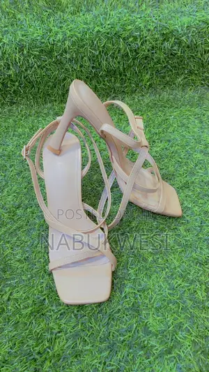 Deals in Ladies Shoes of All Kinds and in Different Styles