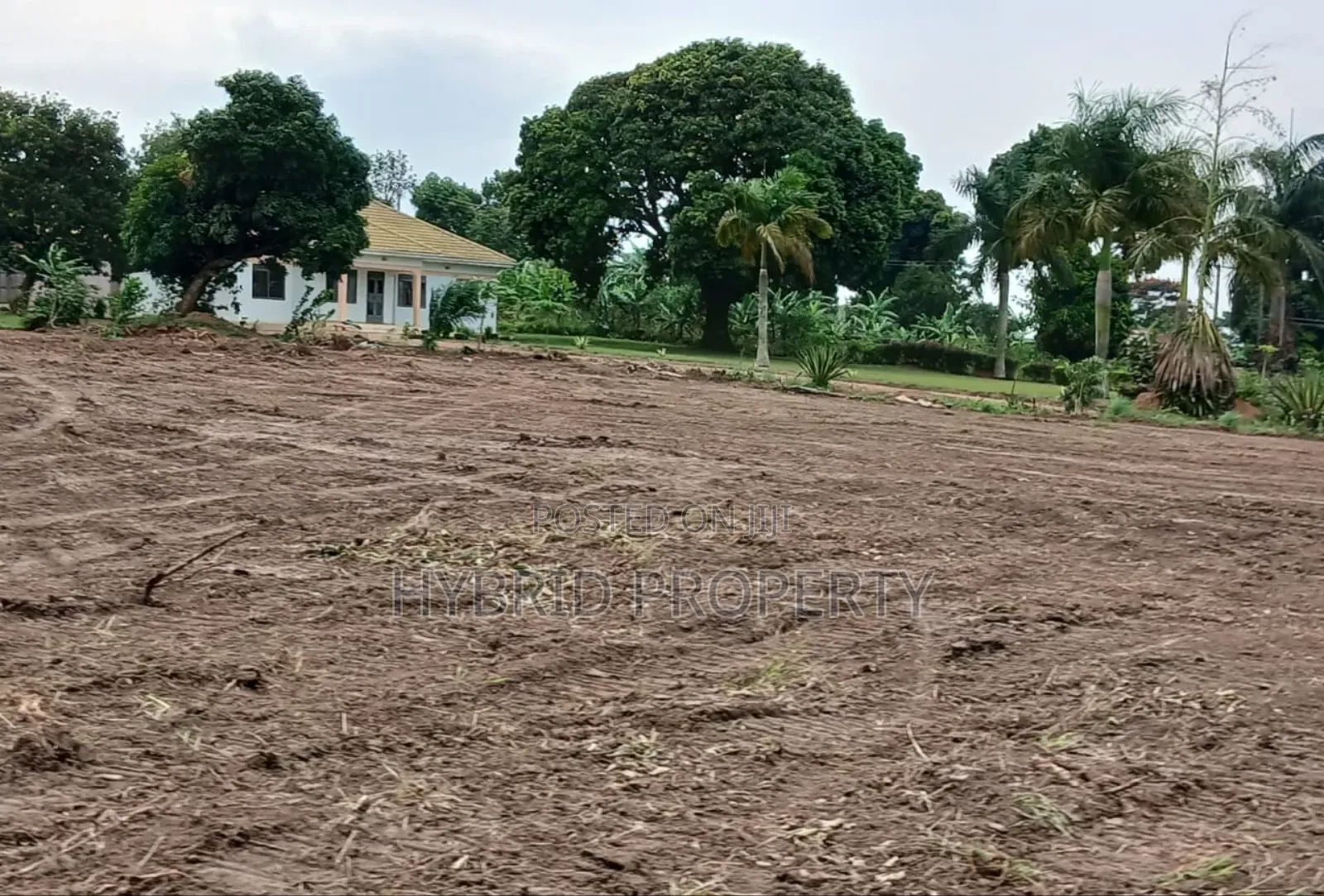 Prime Plots for Sale at Kakiri Town Tarmac View Mega Estate~Hoima Rd