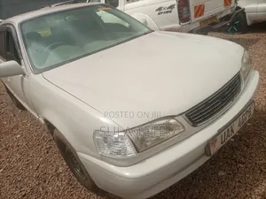 Toyota Corolla 1998 White