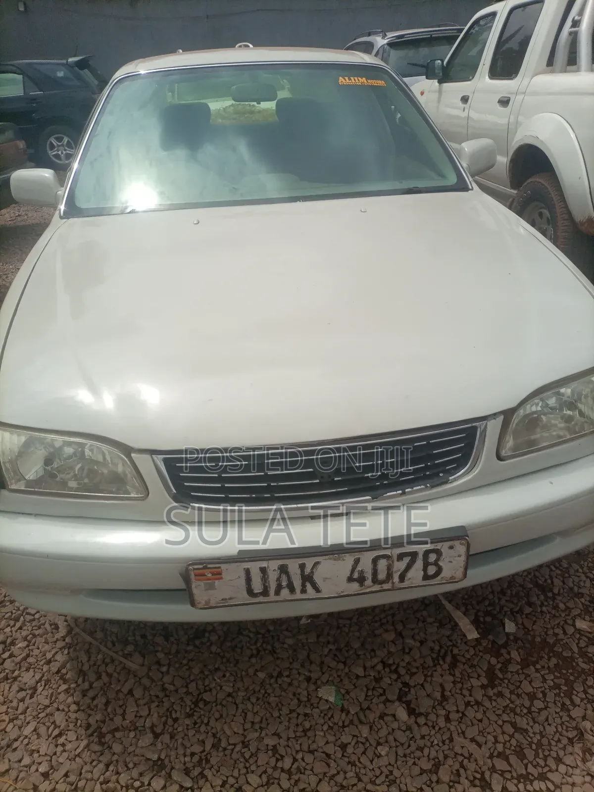 Toyota Corolla 1998 White