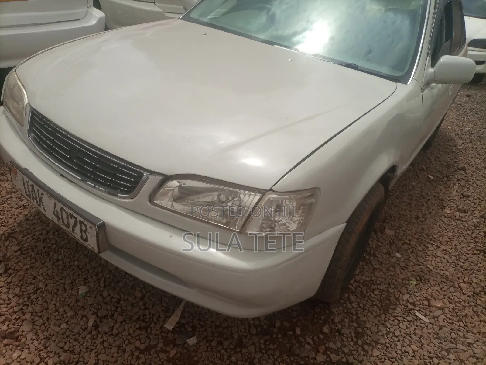 Toyota Corolla 1998 White