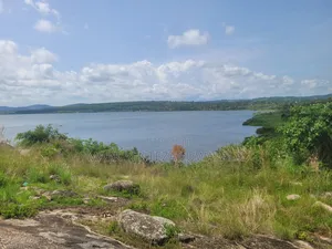 Prime Lakefront Land for Sale – Bufumbe, Mukono