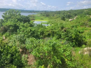 Prime Lakefront Land for Sale – Bufumbe, Mukono