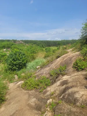 Prime Lakefront Land for Sale – Bufumbe, Mukono