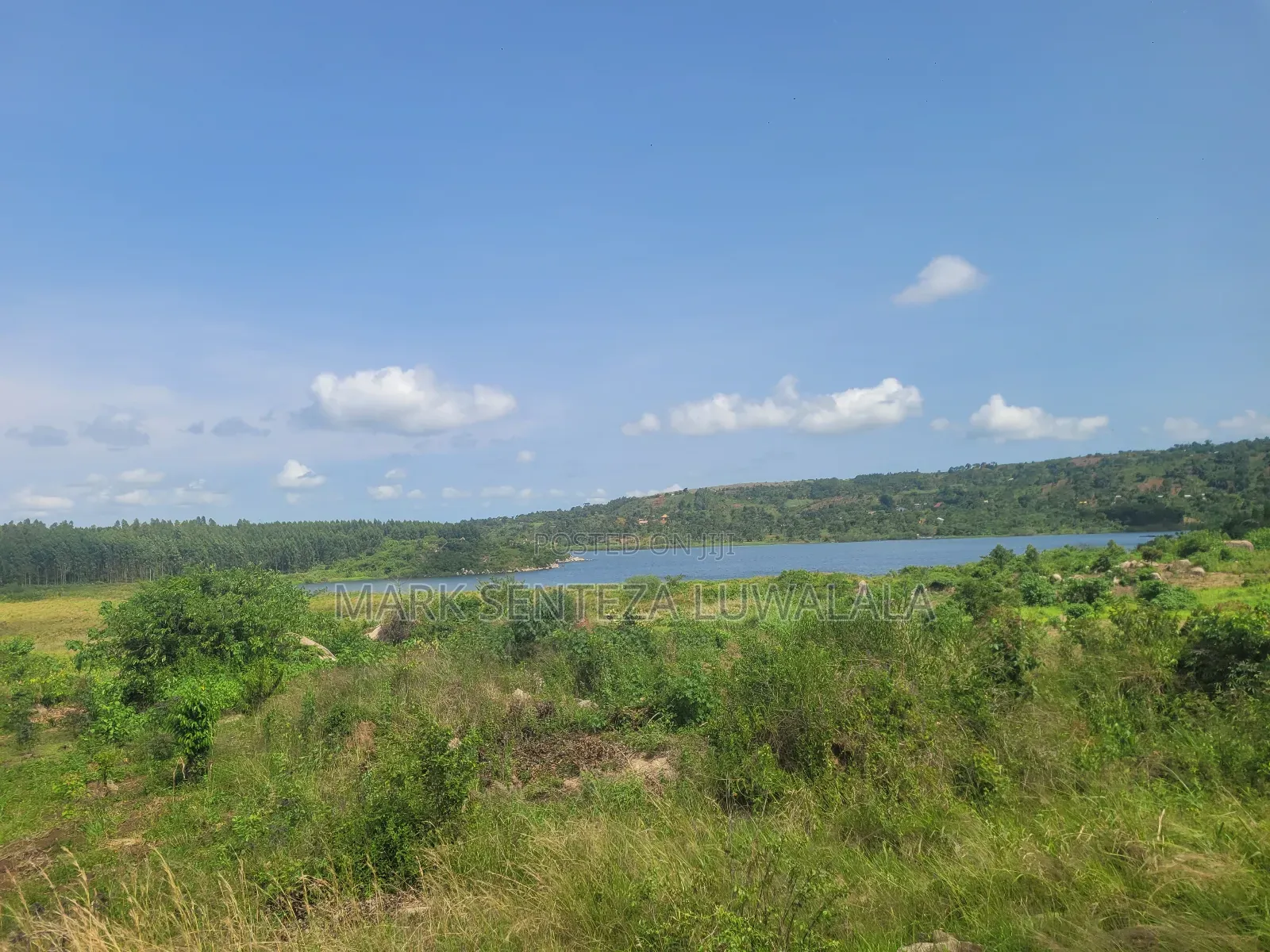 Prime Lakefront Land for Sale – Bufumbe, Mukono