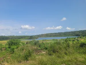 Prime Lakefront Land for Sale – Bufumbe, Mukono