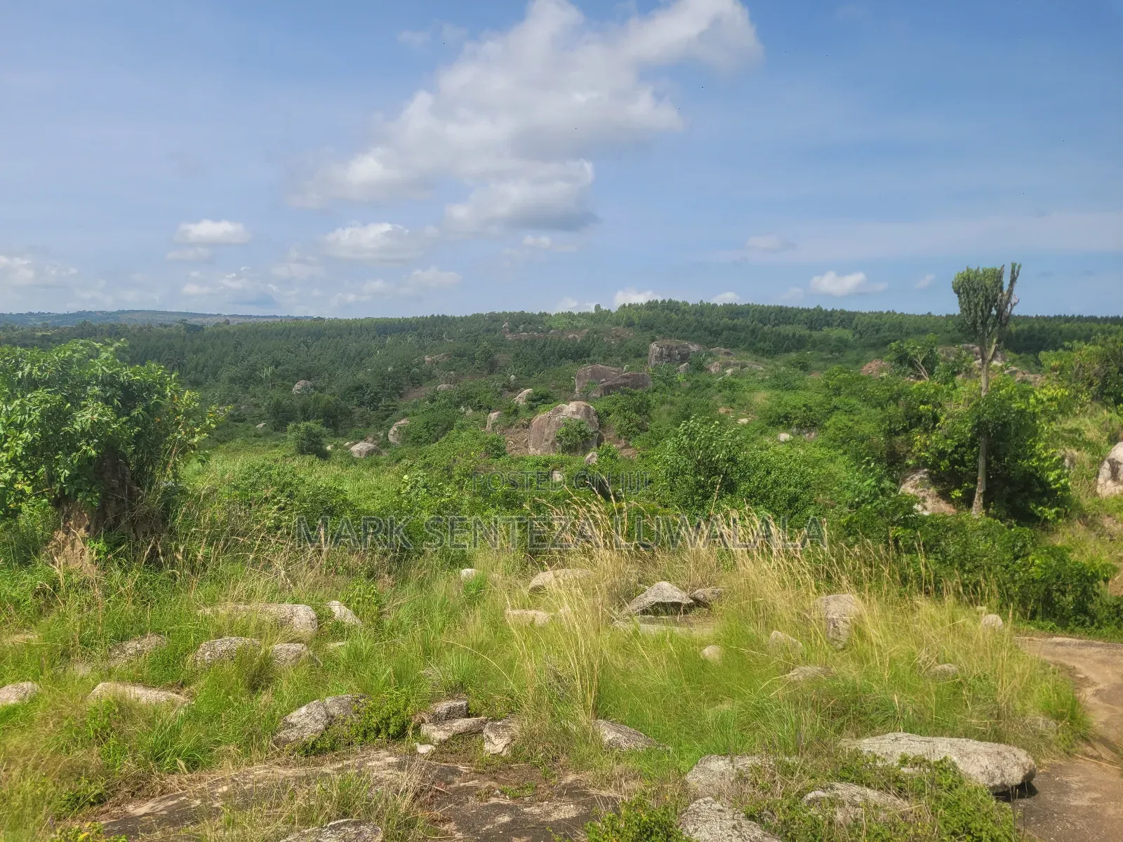 Prime Lakefront Land for Sale – Bufumbe, Mukono