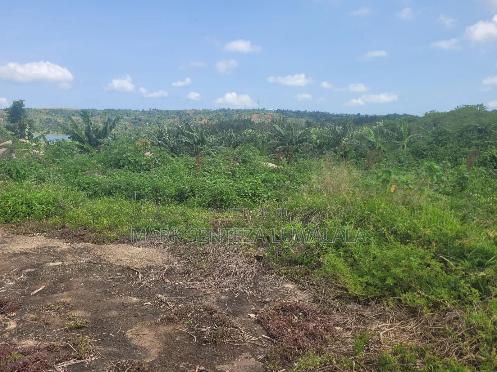 Prime Lakefront Land for Sale – Bufumbe, Mukono