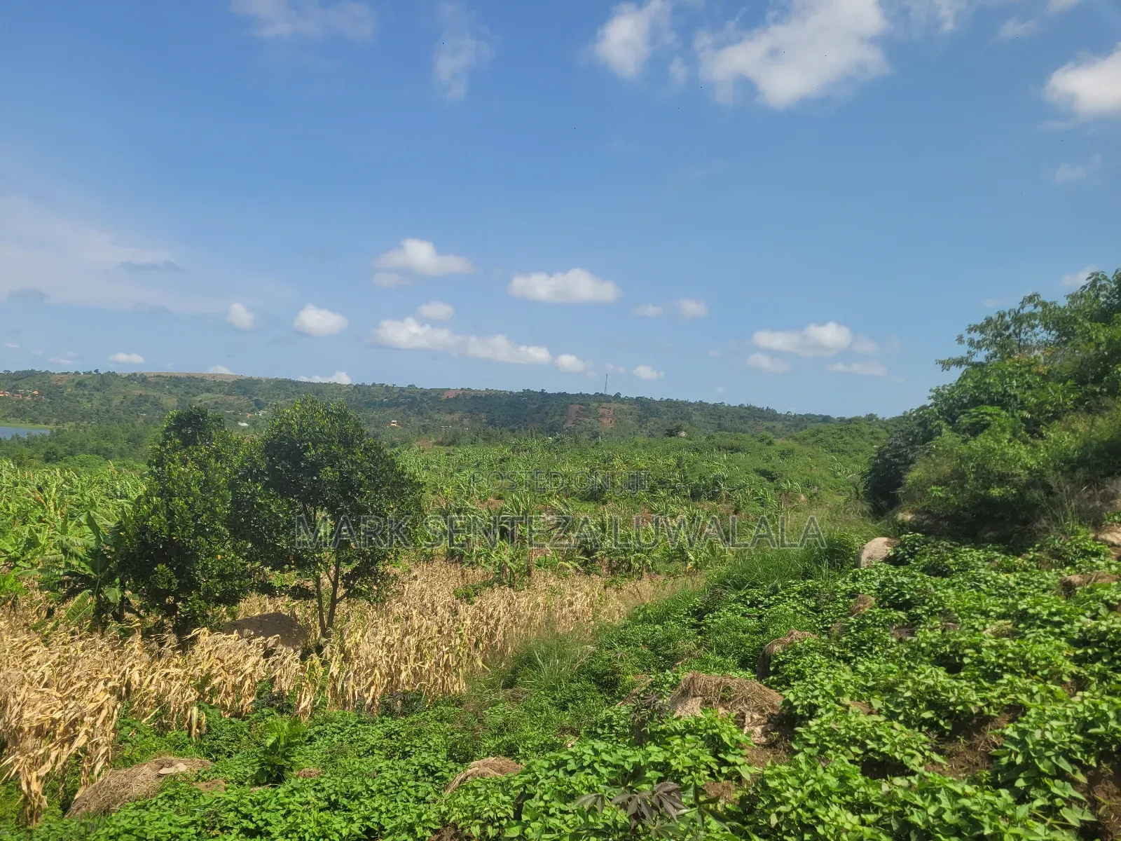 Prime Lakefront Land for Sale – Bufumbe, Mukono