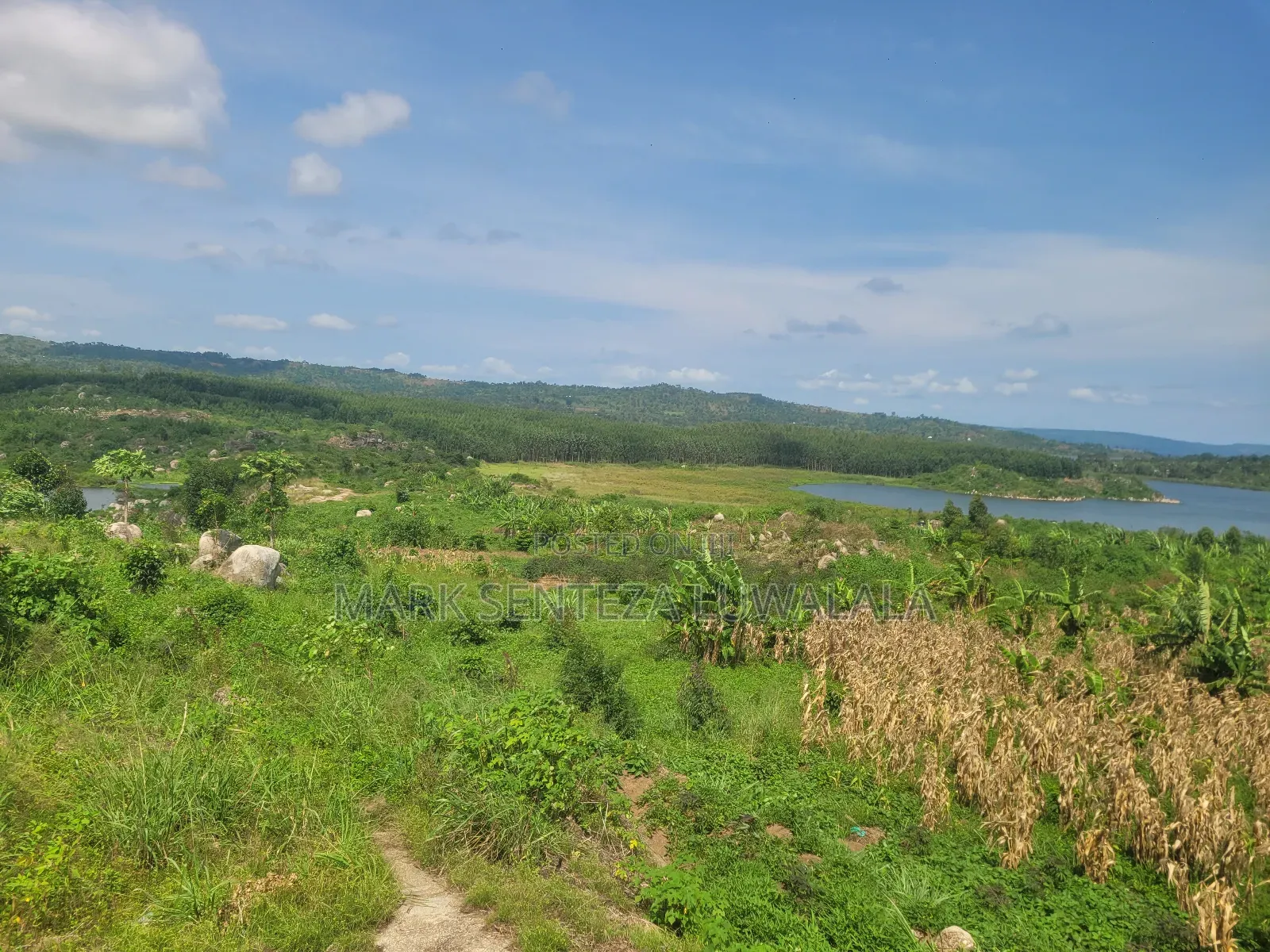 Prime Lakefront Land for Sale – Bufumbe, Mukono