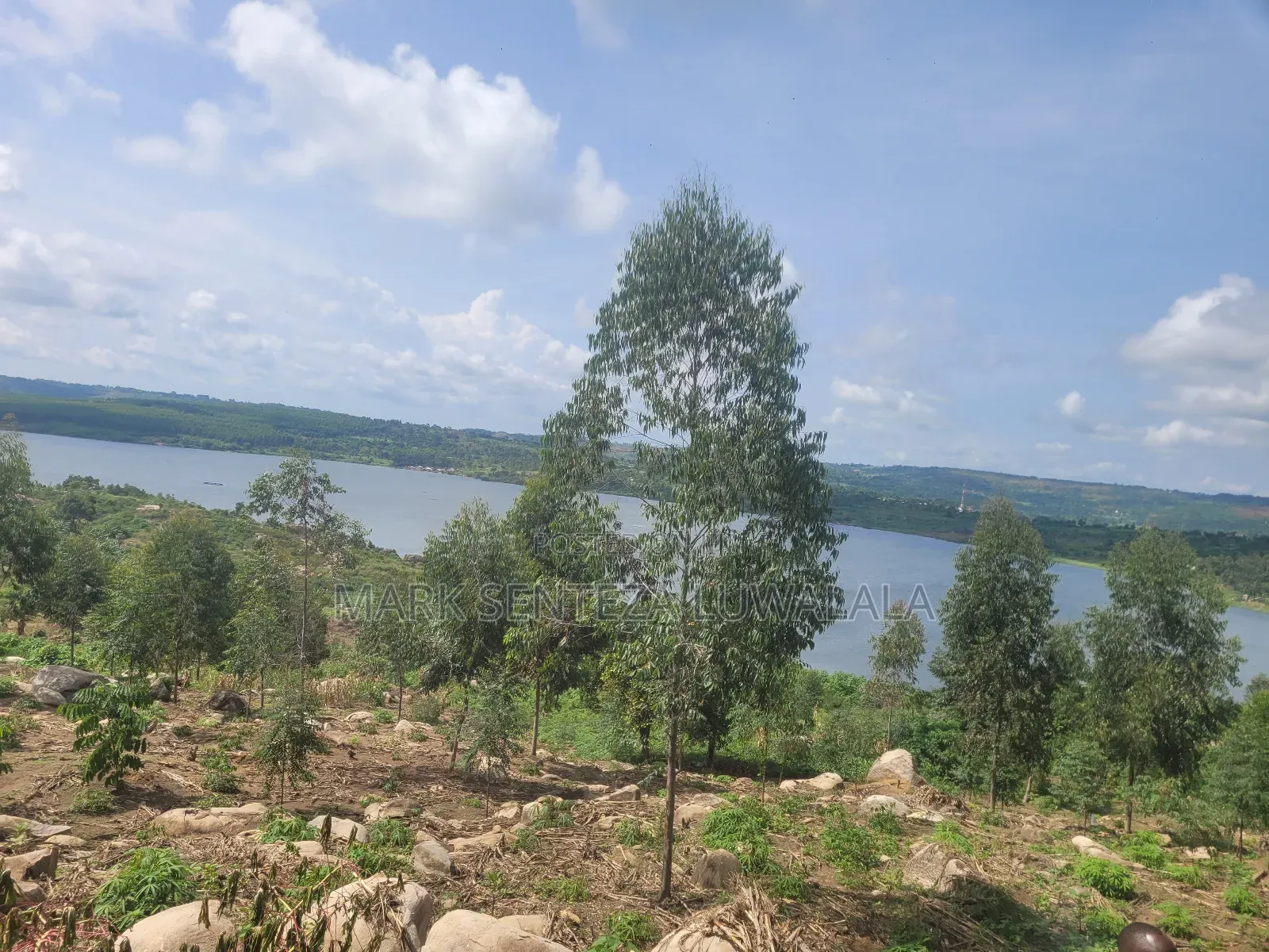 Prime Lakefront Land for Sale – Bufumbe, Mukono