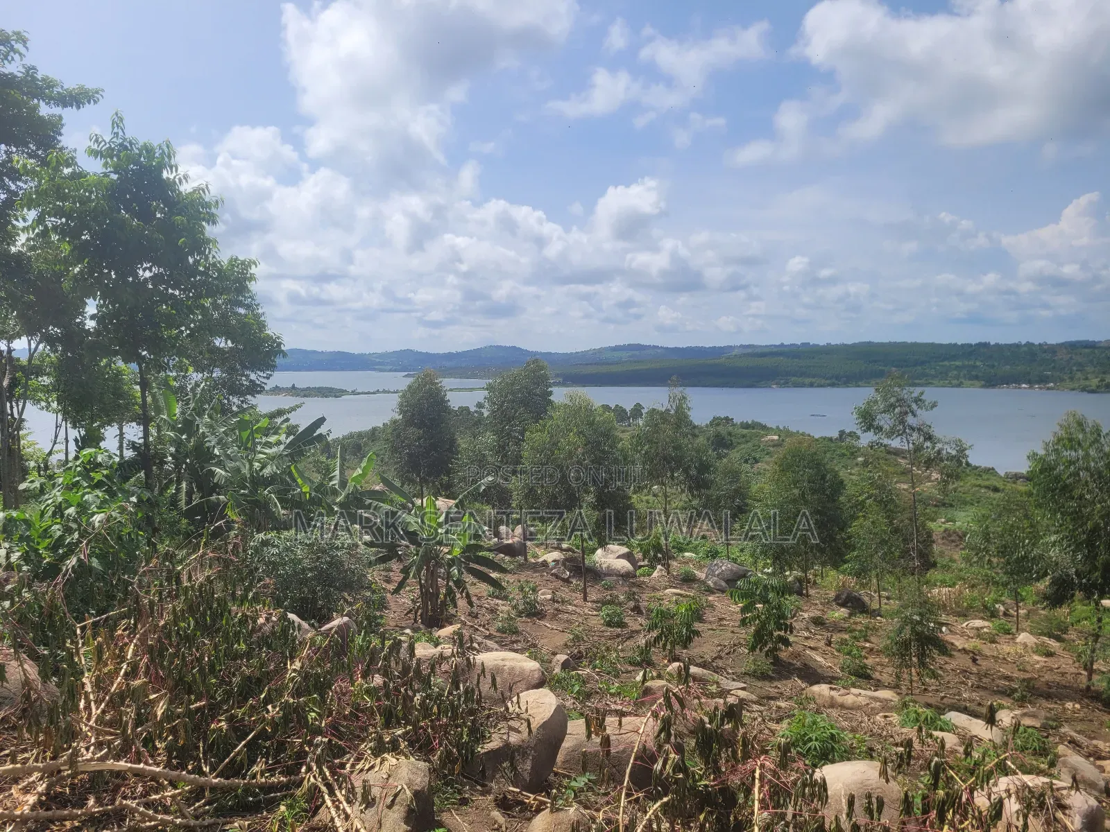 Prime Lakefront Land for Sale – Bufumbe, Mukono