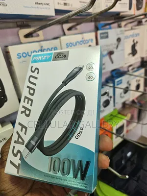 Pinzy Usb-C to Usb-C Data Cable 100w