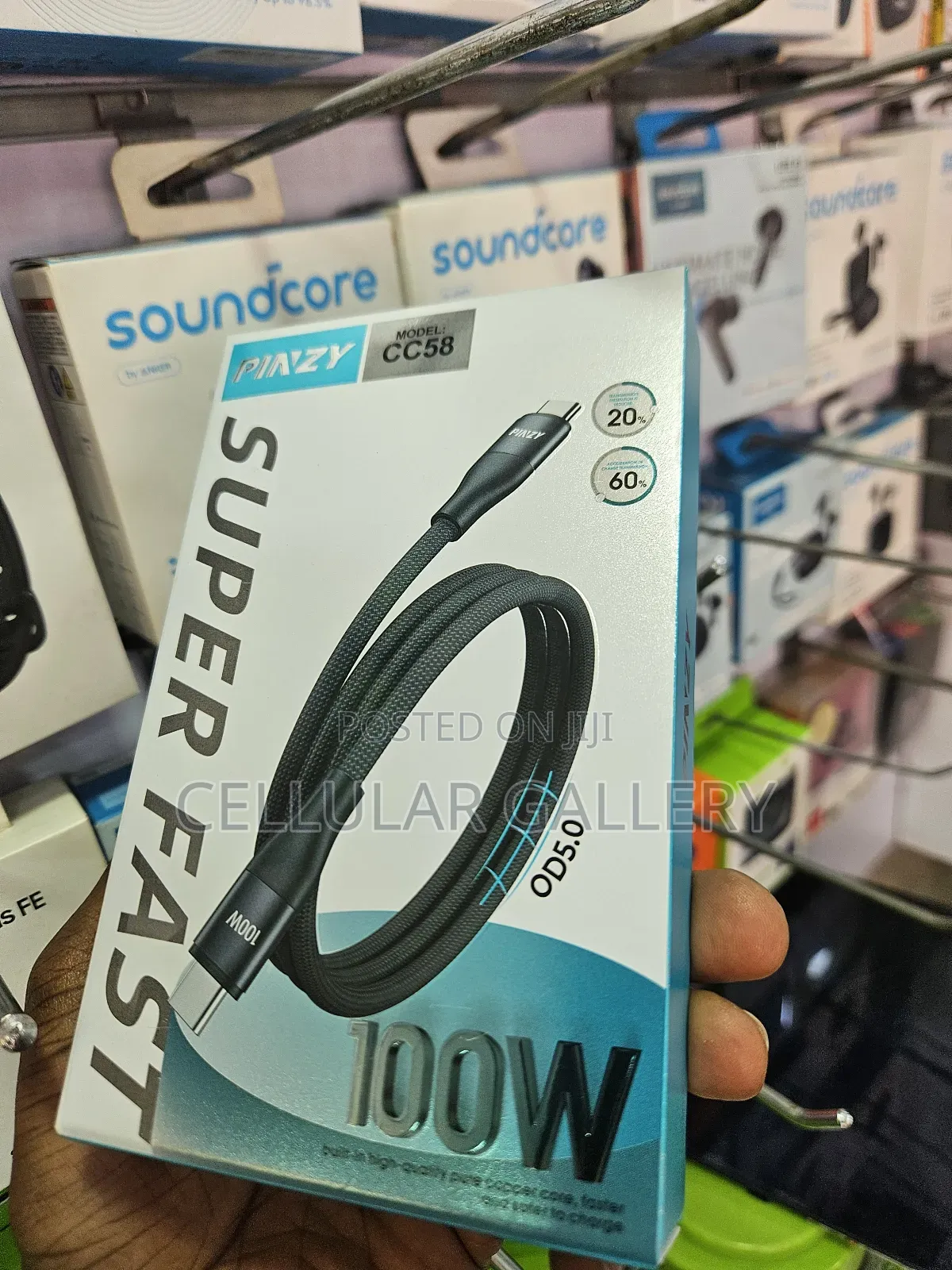 Pinzy Usb-C to Usb-C Data Cable 100w