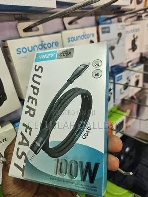 Pinzy Usb-C to Usb-C Data Cable 100w