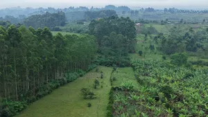 4 Acres of Land on Sale in Fort Portal City