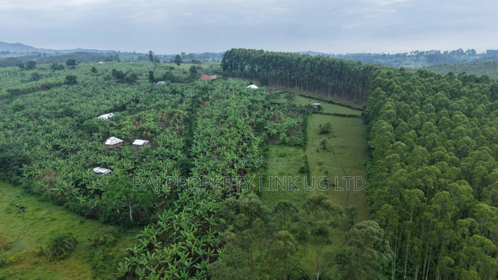 4 Acres of Land on Sale in Fort Portal City