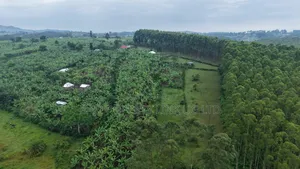 4 Acres of Land on Sale in Fort Portal City