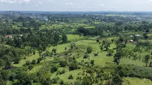 12 Acres of Prime Land on Sale in Fort Portal Tourism City