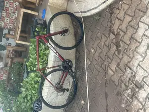 London Best Quality Bike