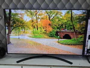 Lg 55inch Smart Uhd Nanocell Pure Colors in Real 