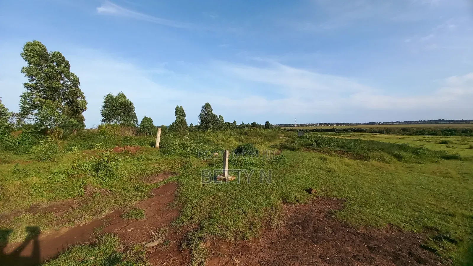 Land for Sale