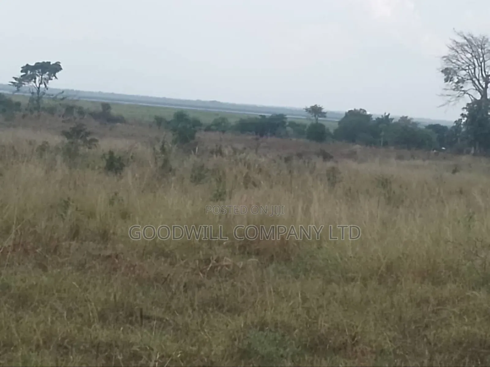 300 Acres of Land in Sezibwa Baale