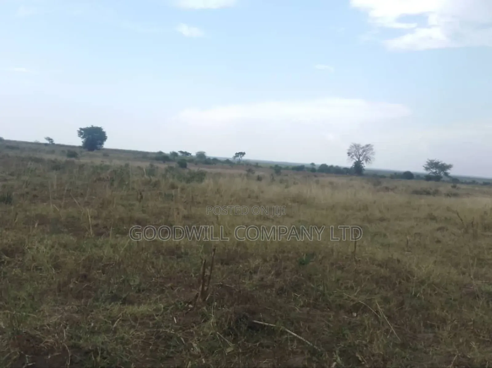 300 Acres of Land in Sezibwa Baale