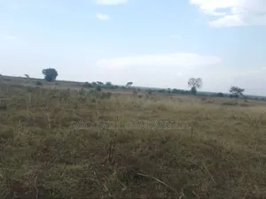 300 Acres of Land in Sezibwa Baale