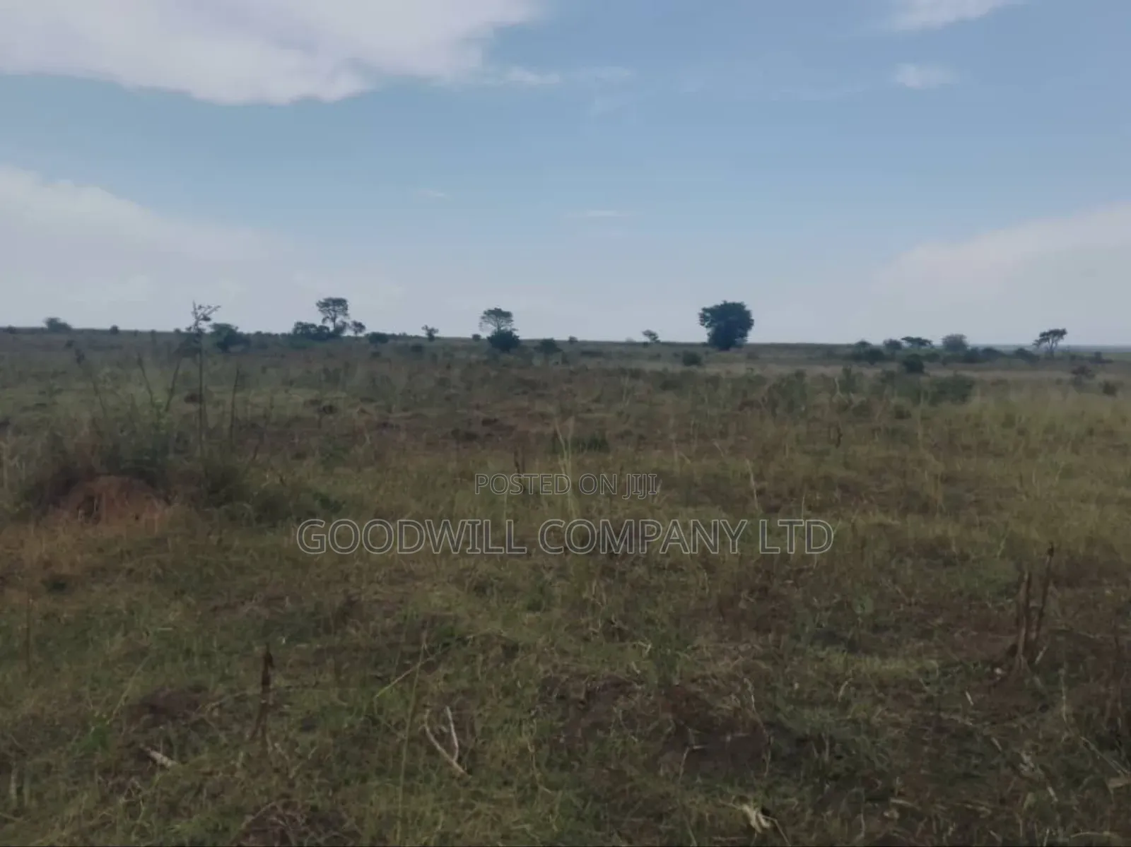 300 Acres of Land in Sezibwa Baale