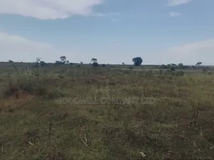 300 Acres of Land in Sezibwa Baale