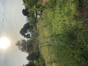 Land Title in Mpigi Mpambire Close to Main Road