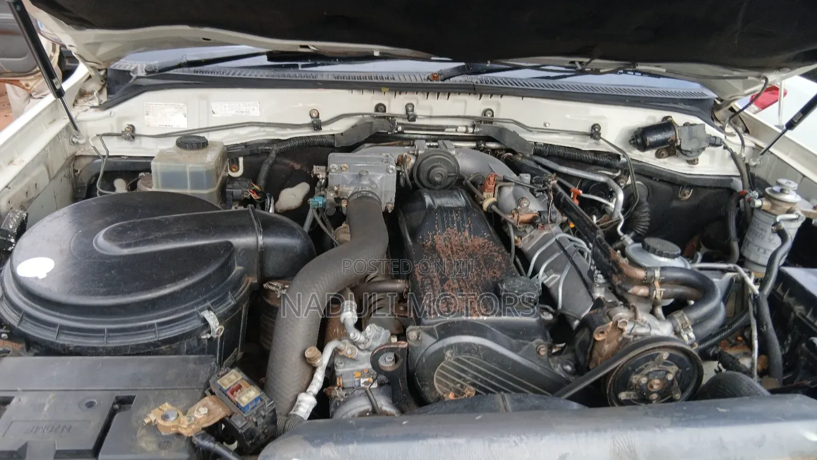 Toyota Land Cruiser 2007 White