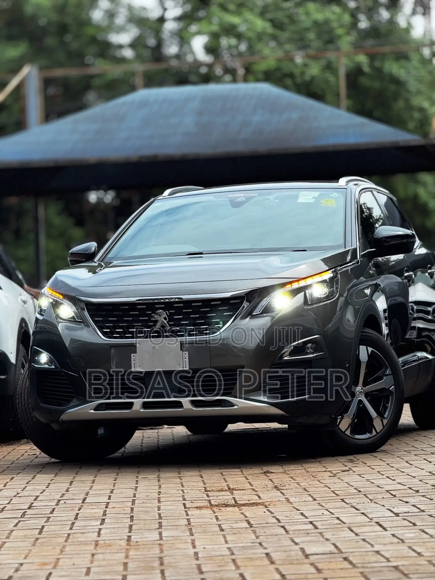 Peugeot 3008 2018 Gray