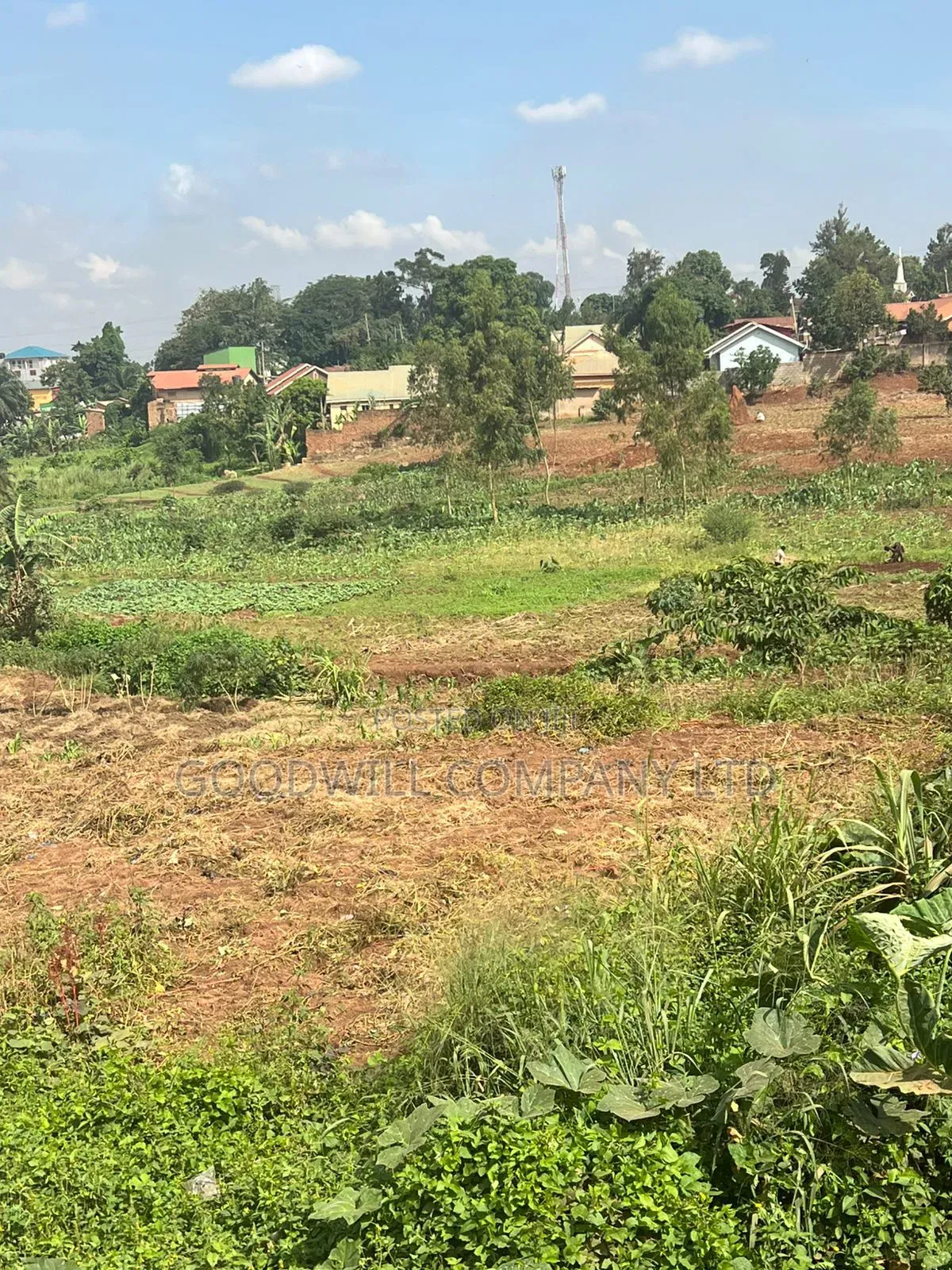 5 Acres of Industrial Land in Seeta Near Namanve