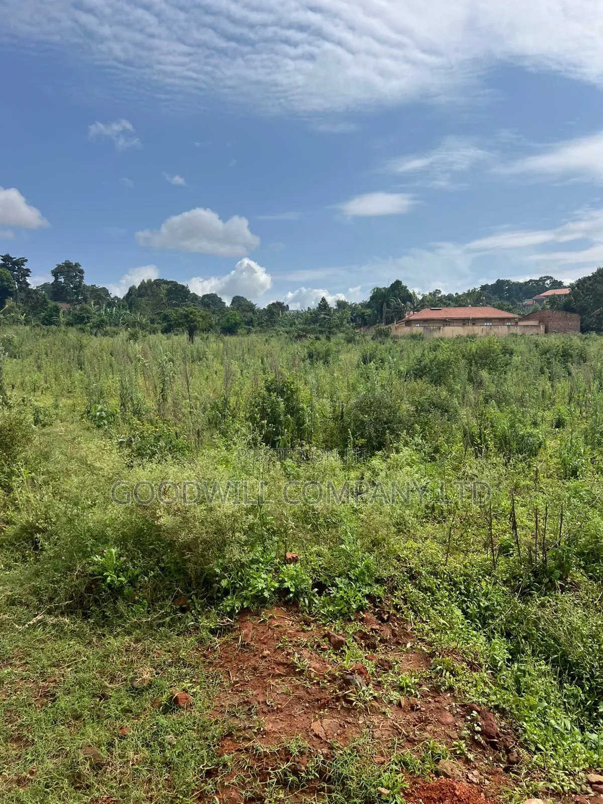 3 Acres 60 Decimals of Land in Namanve Near Roofing