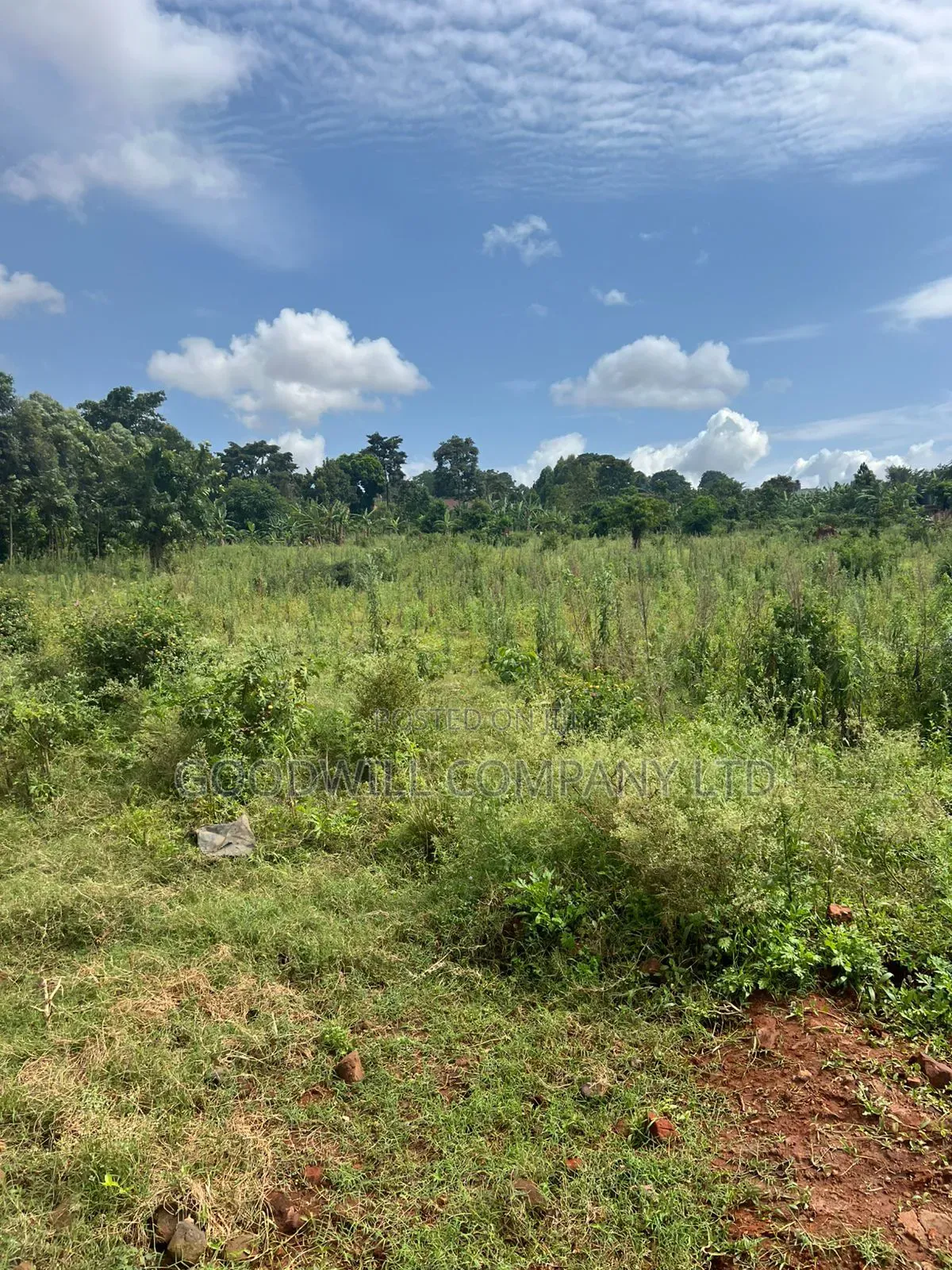3 Acres 60 Decimals of Land in Namanve Near Roofing