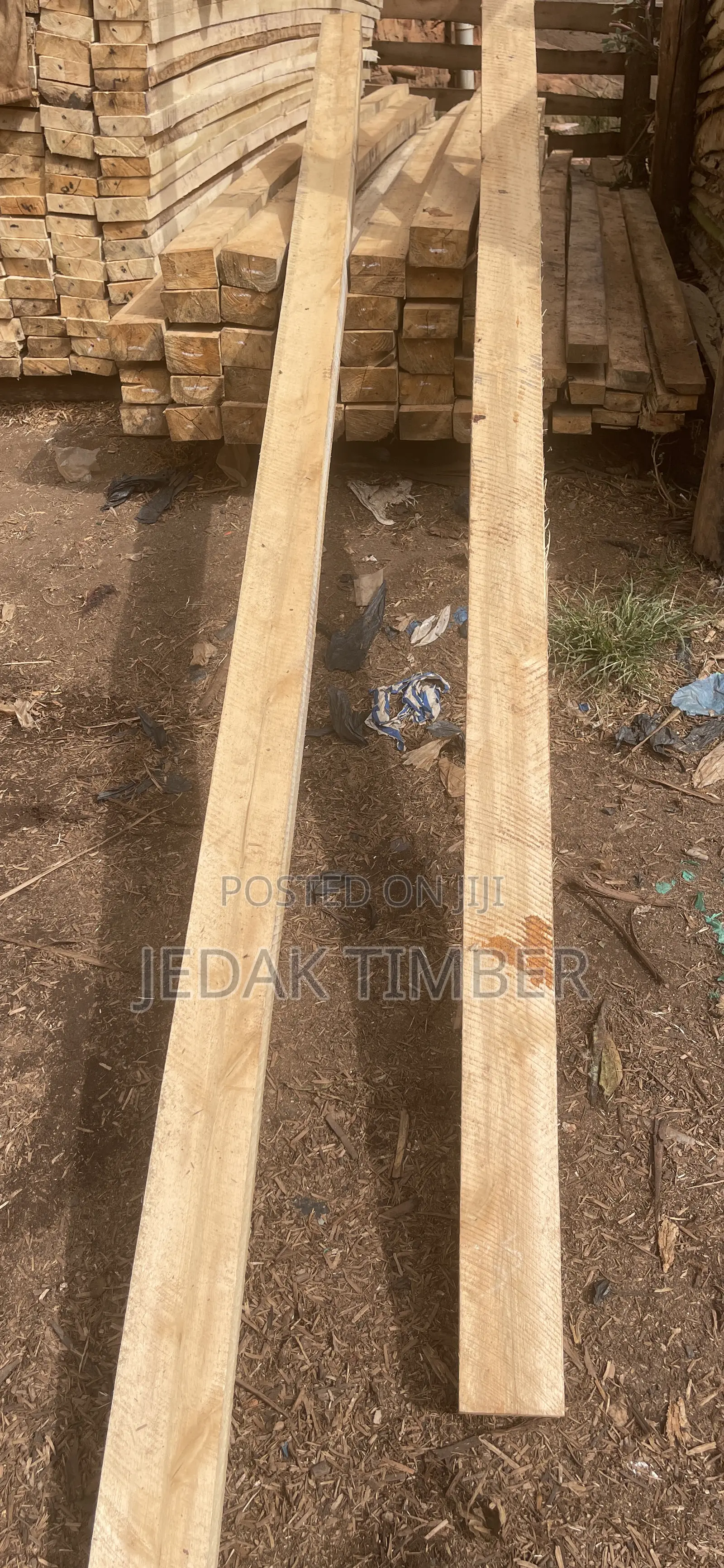 Best Timber in Uganda