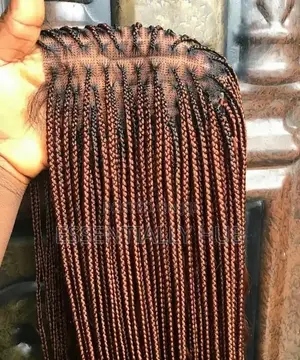 Braids Wigs