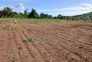 Prime Plots for Sale at Mpigi~Kalagala Divine Estate Along Masaka Road