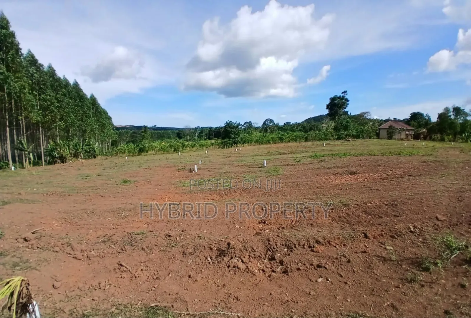 Prime Plots for Sale at Mpigi~Kalagala Divine Estate Along Masaka Road