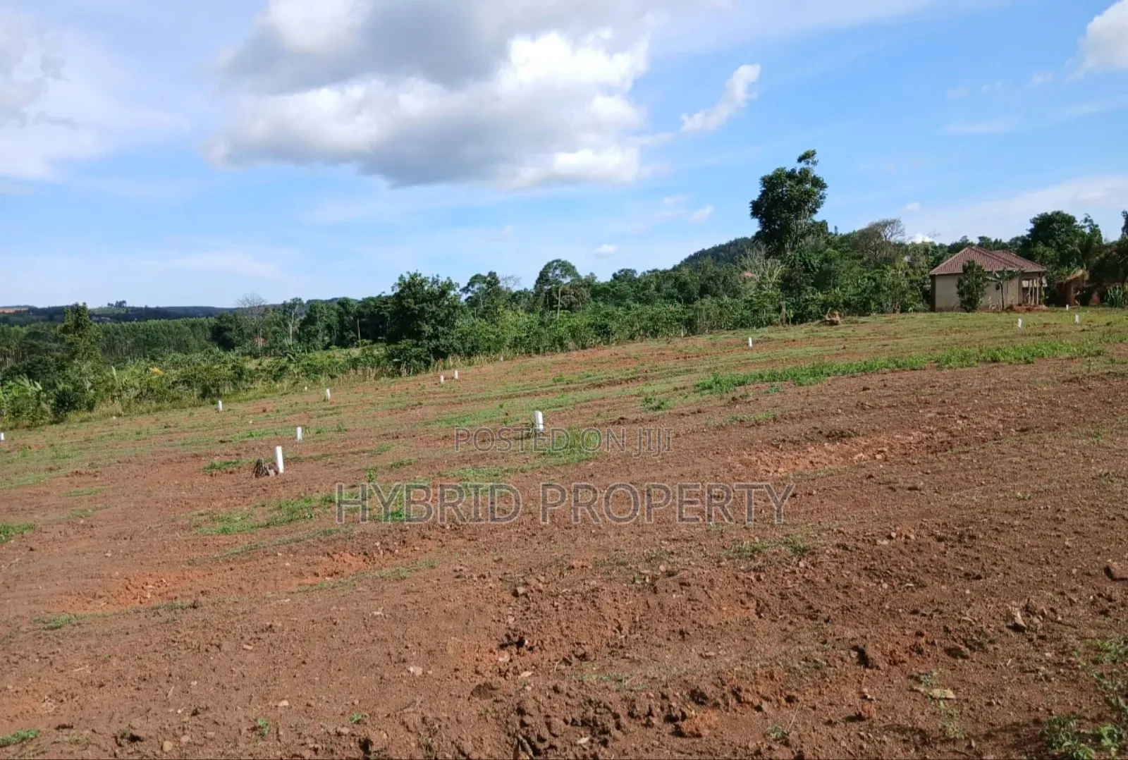 Prime Plots for Sale at Mpigi~Kalagala Divine Estate Along Masaka Road