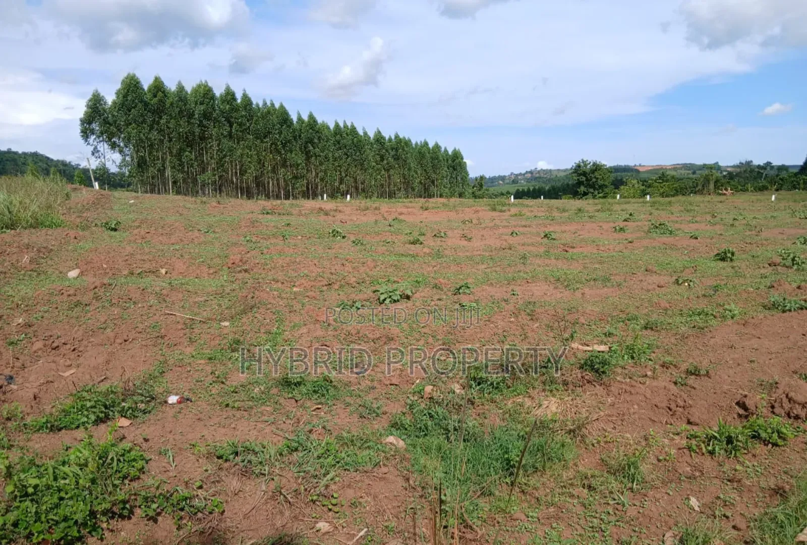 Prime Plots for Sale at Mpigi~Kalagala Divine Estate Along Masaka Road